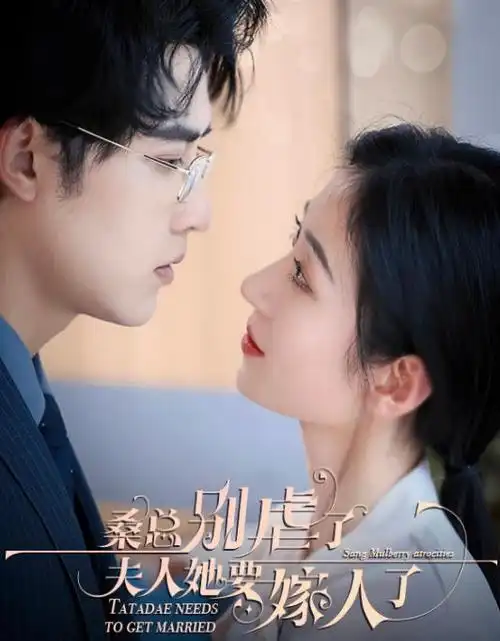 玫瑰公寓都市女性剧海报